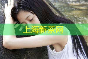 上海新茶工作室：品味茶叶背后隐藏的故事