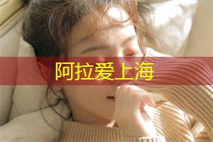 上海新茶工作室：如绿茶、红茶、白茶等
