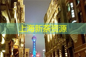上海新茶工作室微信：惊艳的激光秀！夜晚上海后花园的50个炫酷光影打卡地