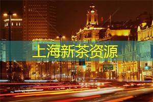 上海新茶工作室联系方式：超越想象的奢华极致：上海会所为您呈现与众不同的体验!