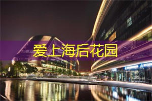 上海龙凤419：看得见的未来：在上海的科技展
